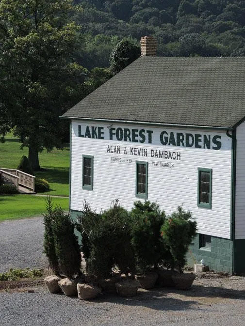 Custom lawn mowing service in Fombell, PA - Dambach's Lake Forest Gardens