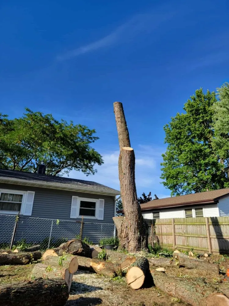 Trusted landscape design in Otsego, MI - Damber Tree & Yard Service