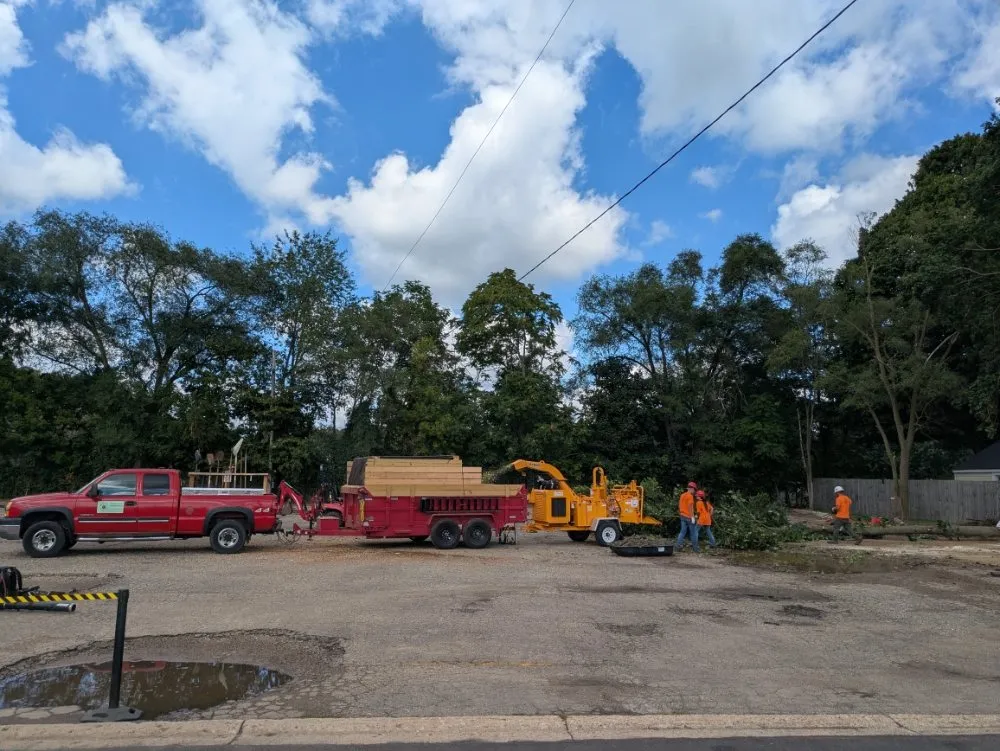 Top-rated lawn care service in Otsego, MI - Damber Tree & Yard Service