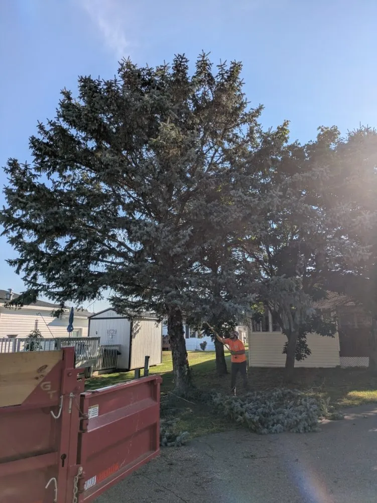 Custom yard maintenance for beautiful yards in Otsego, MI by Damber Tree & Yard Service