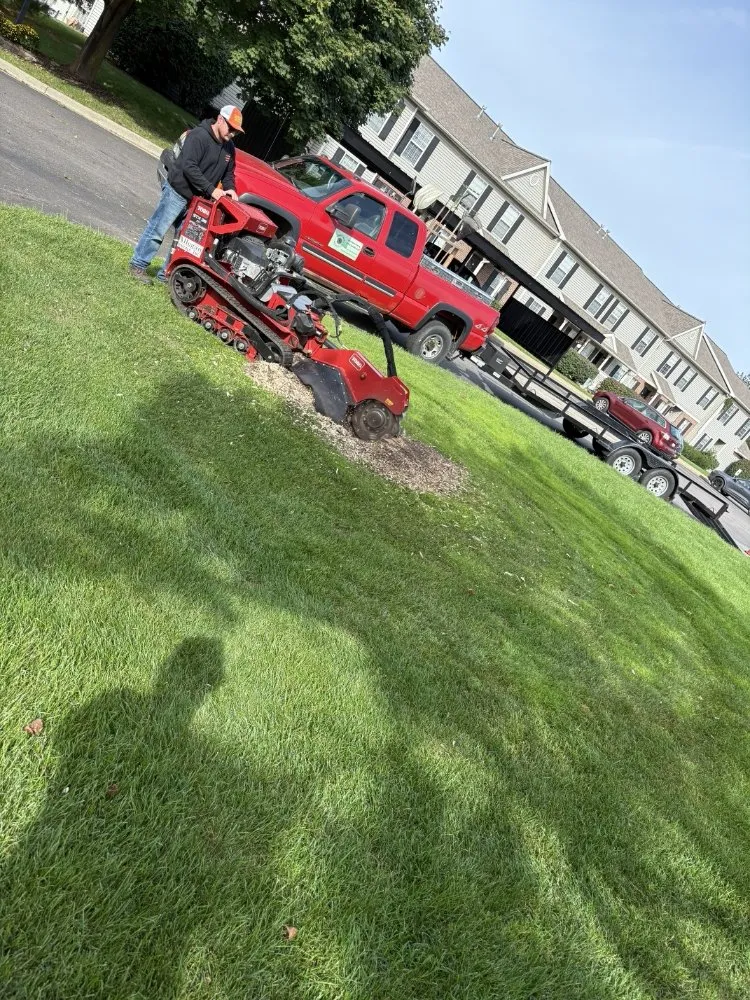 Custom landscape design for beautiful yards in Otsego, MI by Damber Tree & Yard Service