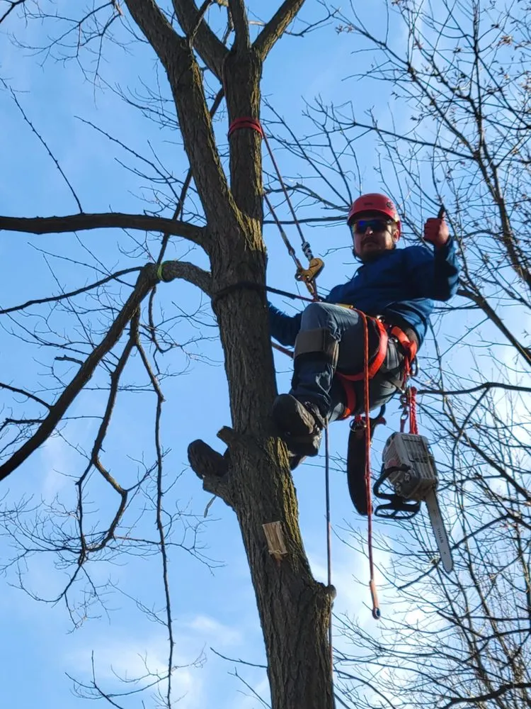 Affordable landscaping services for homes across Otsego, MI - Damber Tree & Yard Service