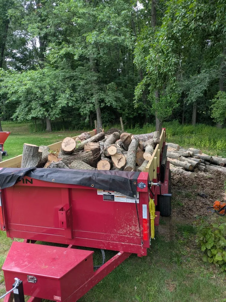 Top-rated landscaping services experts serving Otsego, MI - Damber Tree & Yard Service