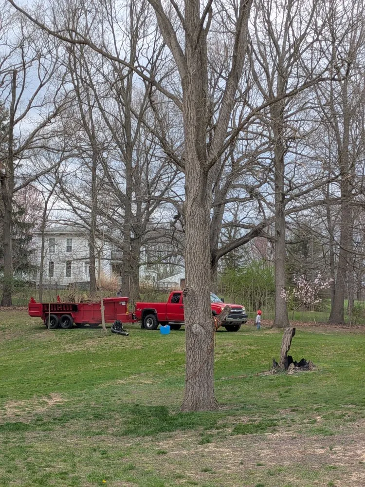 Top-rated residential landscaping in Otsego, MI by Damber Tree & Yard Service