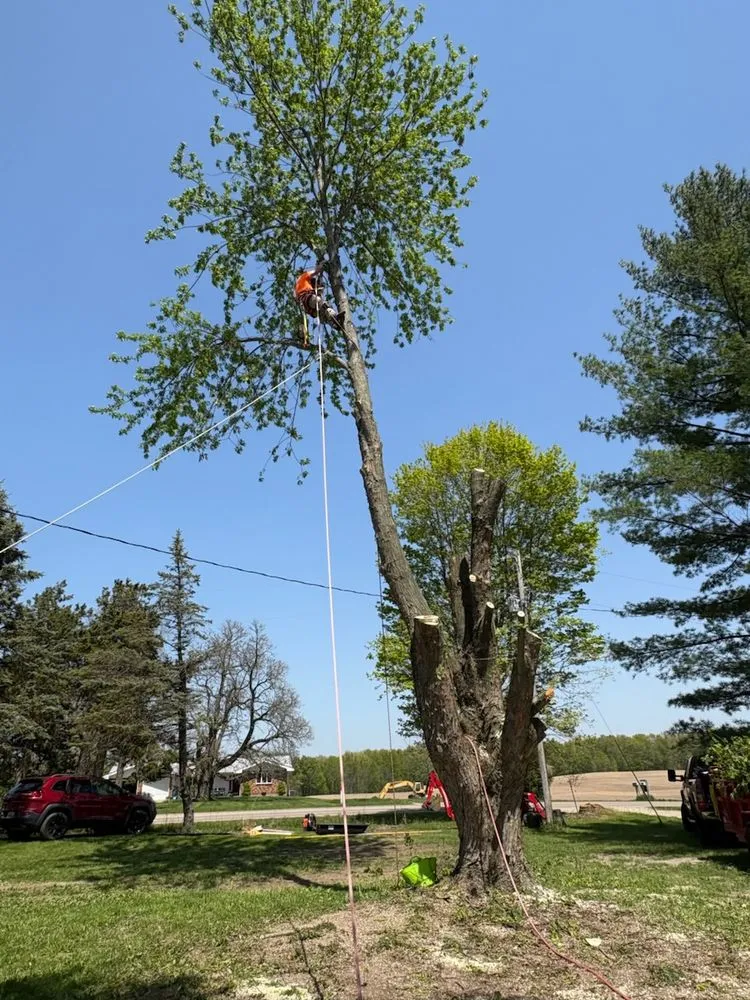 Trusted landscaping services for year-round maintenance in Otsego, MI by Damber Tree & Yard Service