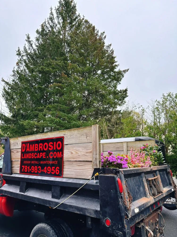 Trusted lawn mowing service in Peabody, MA by D'Ambrossio Landscaping