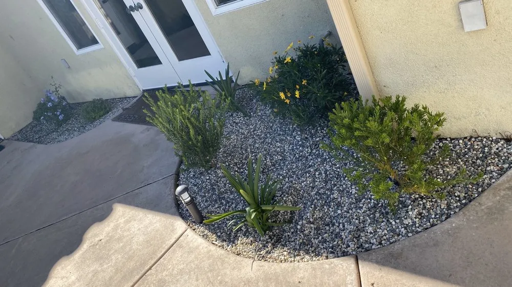 Custom garden landscaping for beautiful yards in San Marcos, CA by Damian Bobadilla's Landscaping