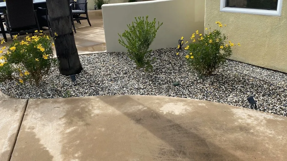 Affordable yard maintenance experts serving San Marcos, CA - Damian Bobadilla's Landscaping