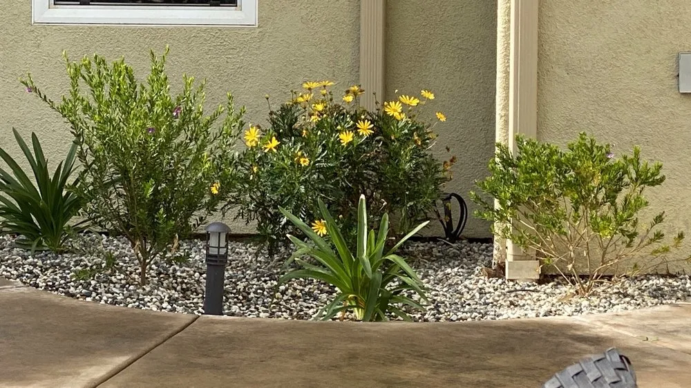 Expert outdoor landscaping experts serving San Marcos, CA - Damian Bobadilla's Landscaping
