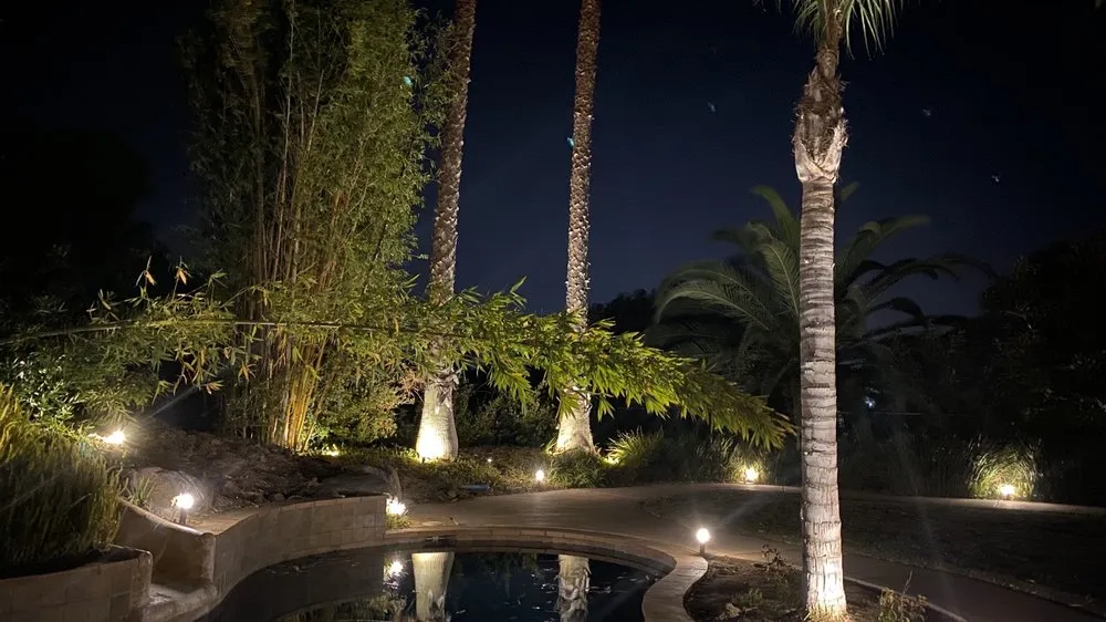 Custom yard cleanup service for residential properties in San Marcos, CA by Damian Bobadilla's Landscaping