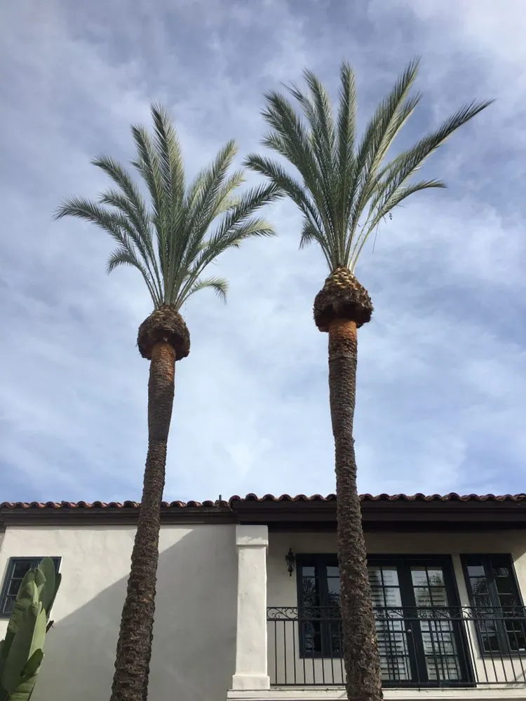 Local outdoor landscaping for year-round maintenance in San Marcos, CA by Damian Bobadilla's Landscaping