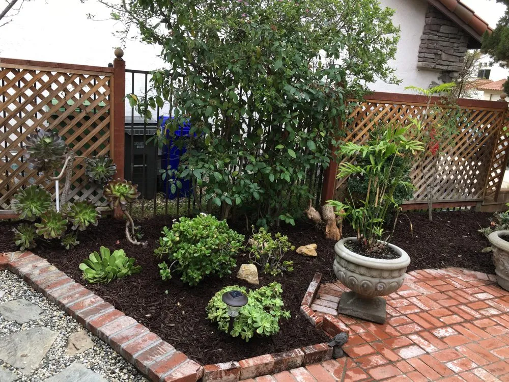 Trusted landscape design in San Marcos, CA by Damian Bobadilla's Landscaping