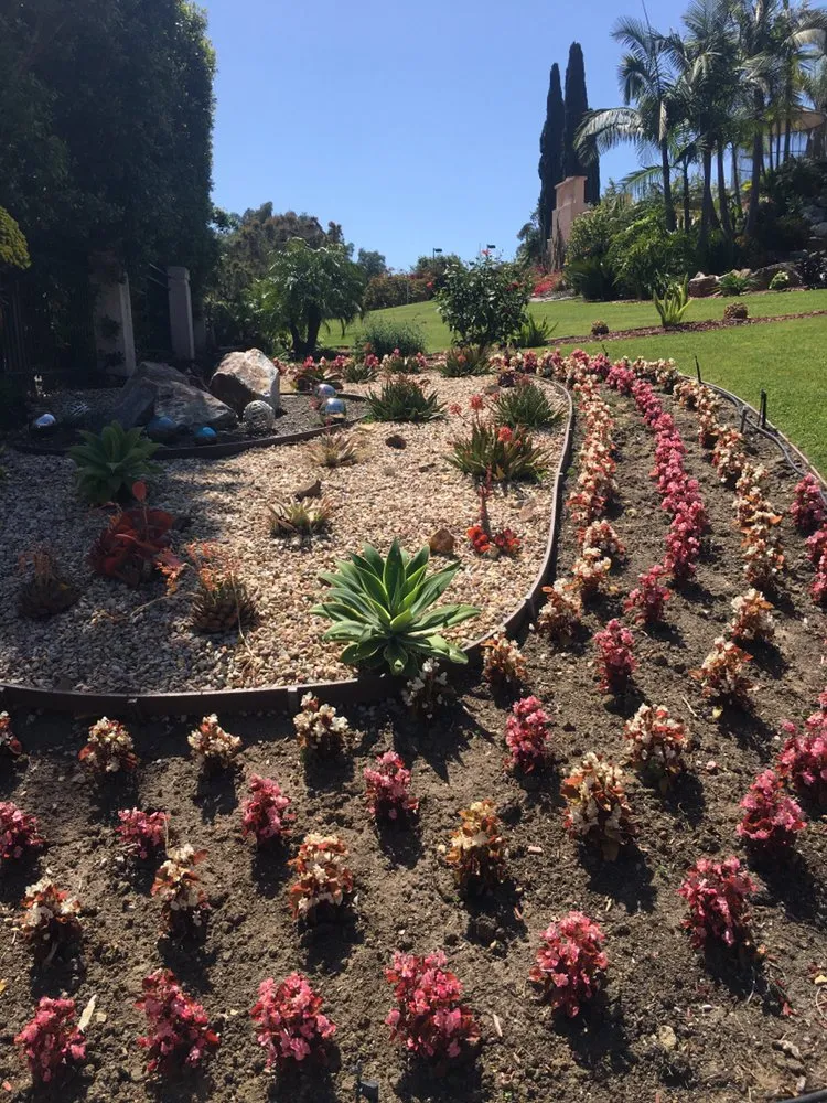 Top-rated garden landscaping in San Marcos, CA by Damian Bobadilla's Landscaping