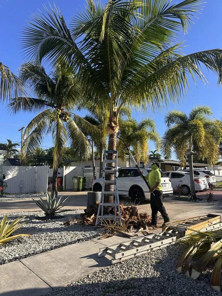 Local yard maintenance for homes in Fort Lauderdale, FL by Damian Lawn Service