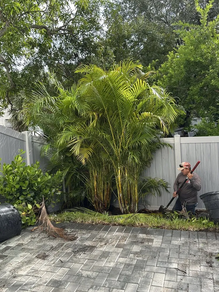 Professional outdoor landscaping for outdoor upgrades in Fort Lauderdale, FL by Damian Lawn Service