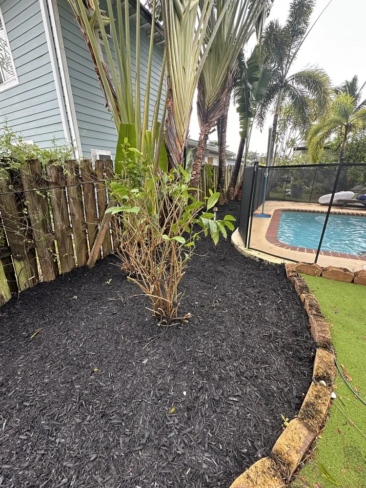 Local yard cleanup service in Fort Lauderdale, FL - Damian Lawn Service