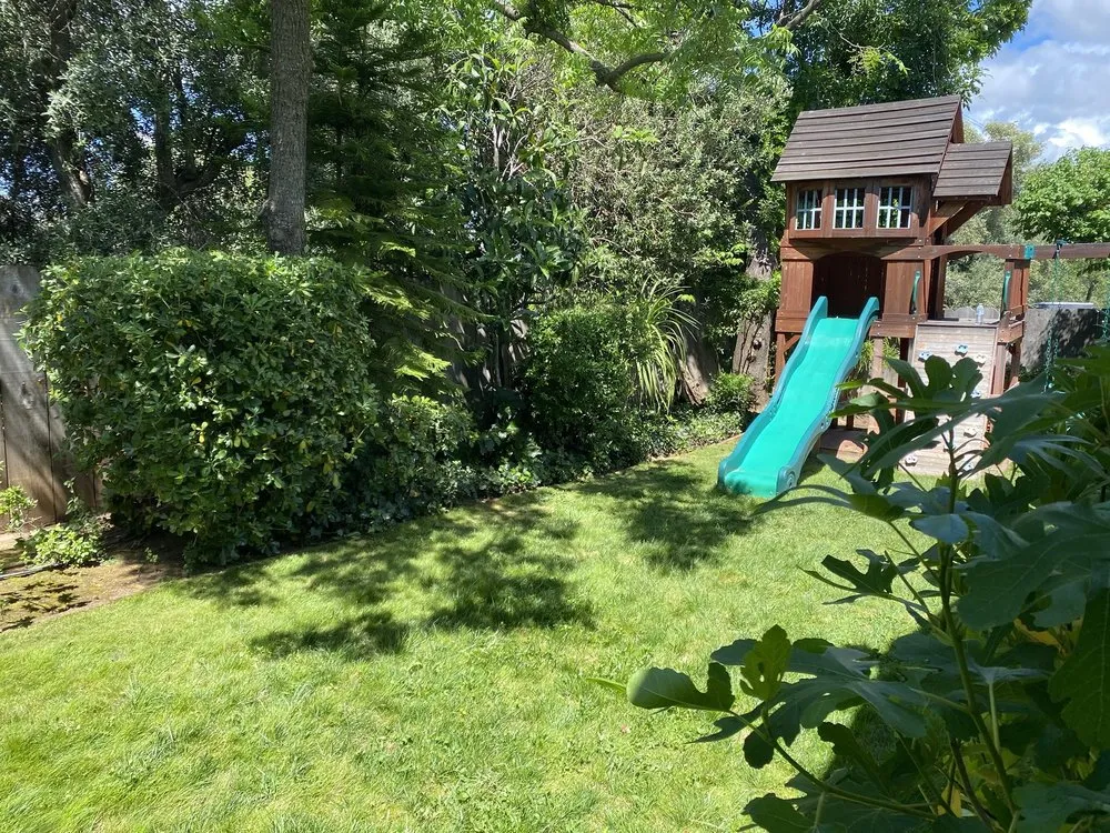 Local lawn mowing service in Oroville, CA by Damian Yard And Arbol Service