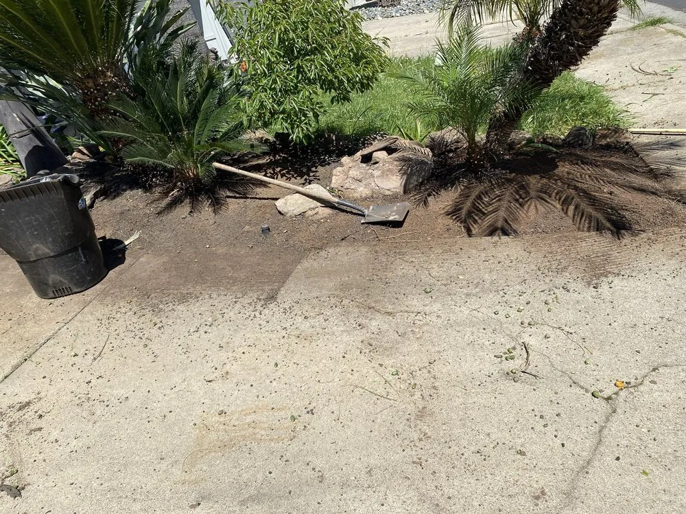 Trusted landscape installation for beautiful yards across Oroville, CA - Damian Yard And Arbol Service