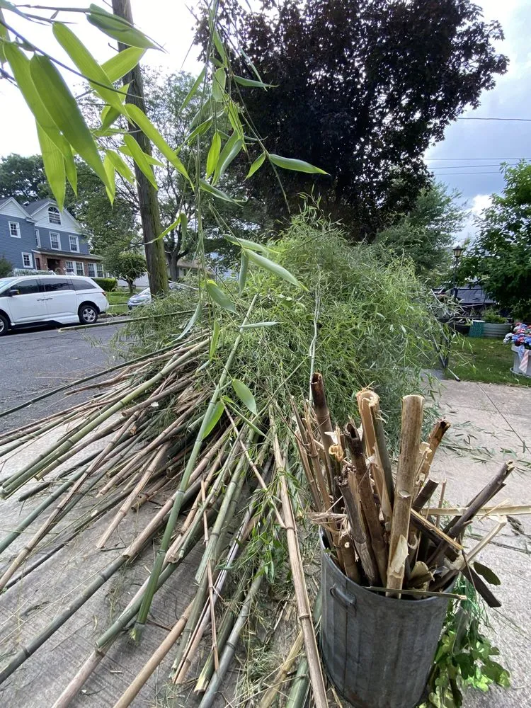 Professional garden landscaping in Hasbrouck Heights, NJ by Damian’s Landscaping Services