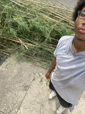 Damian’s Landscaping Services