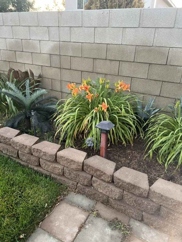 Expert landscaping services with custom design across Lancaster, CA - Damian's Lawn Maintenance