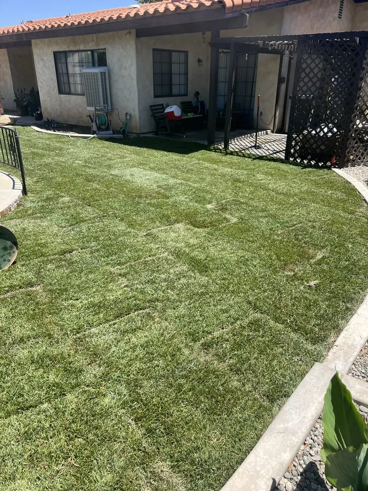 Trusted residential landscaping in Lancaster, CA - Damian's Lawn Maintenance