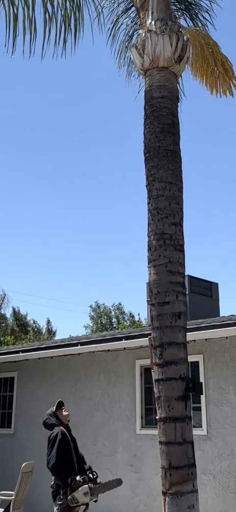 Affordable yard cleanup service near you across Riverside, CA - Damian's Trimming Services