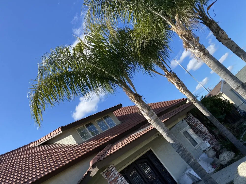 Trusted yard maintenance experts serving Delano, CA - Damien’s Lawn Care