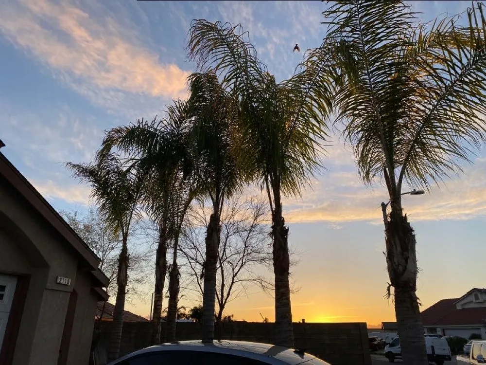 Top-rated lawn care service near you across Delano, CA - Damien’s Lawn Care