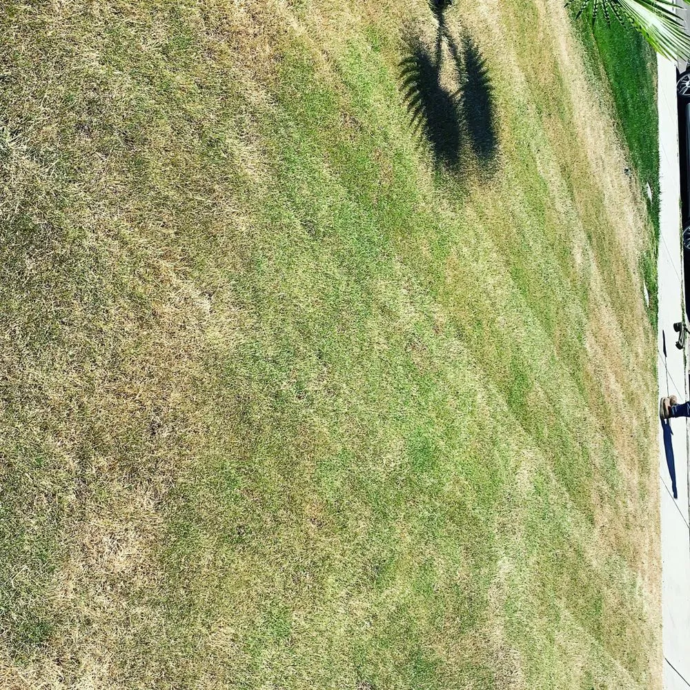 Affordable landscape installation with custom design across Delano, CA - Damien’s Lawn Care