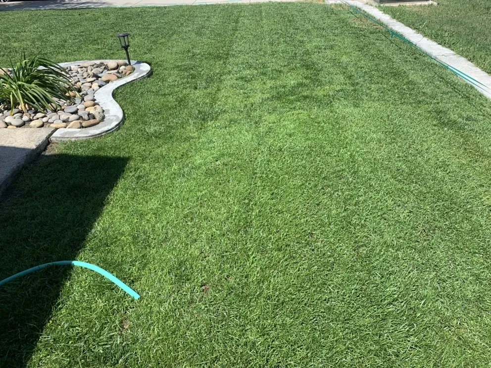 Top-rated yard cleanup service in Delano, CA - Damien’s Lawn Care