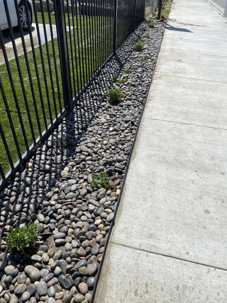 Reliable yard cleanup service near you across Delano, CA - Damien’s Lawn Care