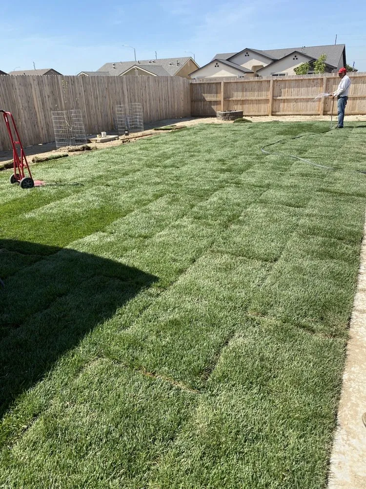 Professional residential landscaping in Delano, CA - Damien’s Lawn Care