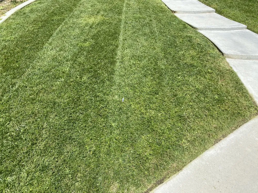 Reliable yard maintenance in Delano, CA - Damien’s Lawn Care
