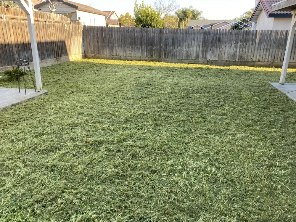 Affordable outdoor landscaping for outdoor upgrades across Delano, CA - Damien’s Lawn Care