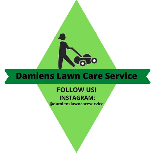 Expert lawn care service experts serving Delano, CA - Damien’s Lawn Care