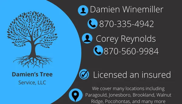 Damien’s Tree Service Logo