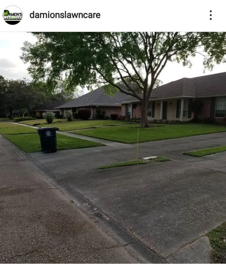 Custom lawn care service in Baton Rouge, LA - Damion's Lawn Care