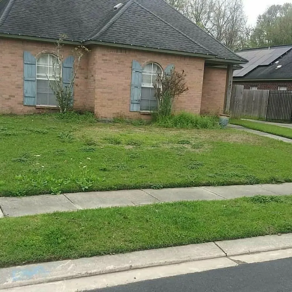 Affordable yard maintenance for year-round maintenance in Baton Rouge, LA by Damion's Lawn Care