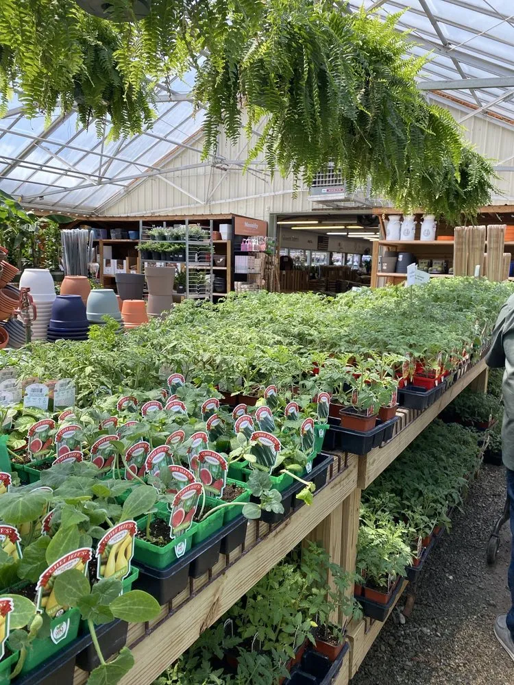 Custom lawn care service for homes across Indianapolis, IN - Dammann's Garden Company