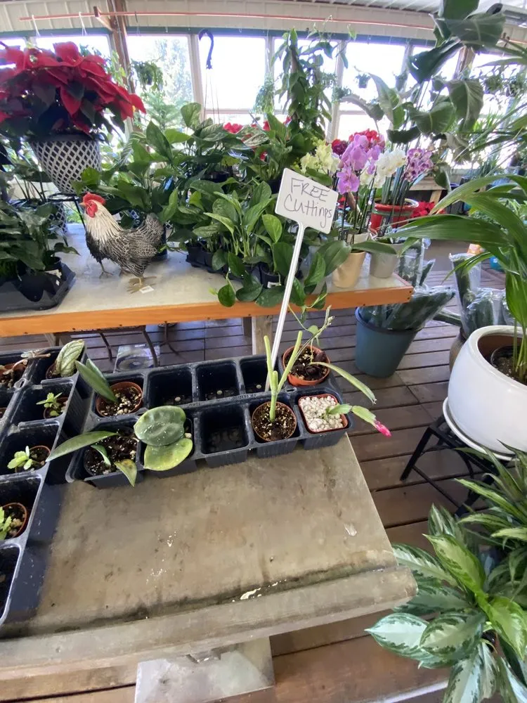 Affordable lawn care service for beautiful yards in Indianapolis, IN by Dammann's Garden Company