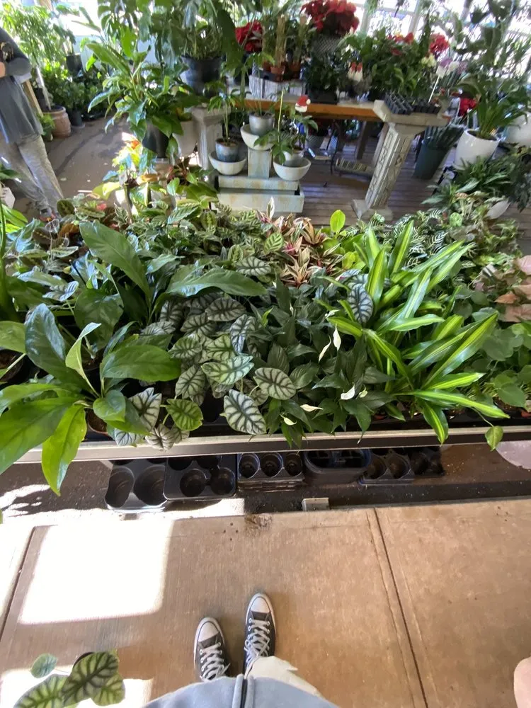 Affordable landscaping services in Indianapolis, IN by Dammann's Garden Company