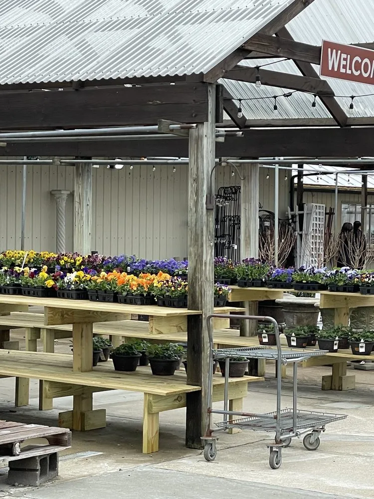 Trusted lawn care service for beautiful yards in Indianapolis, IN by Dammann's Garden Company