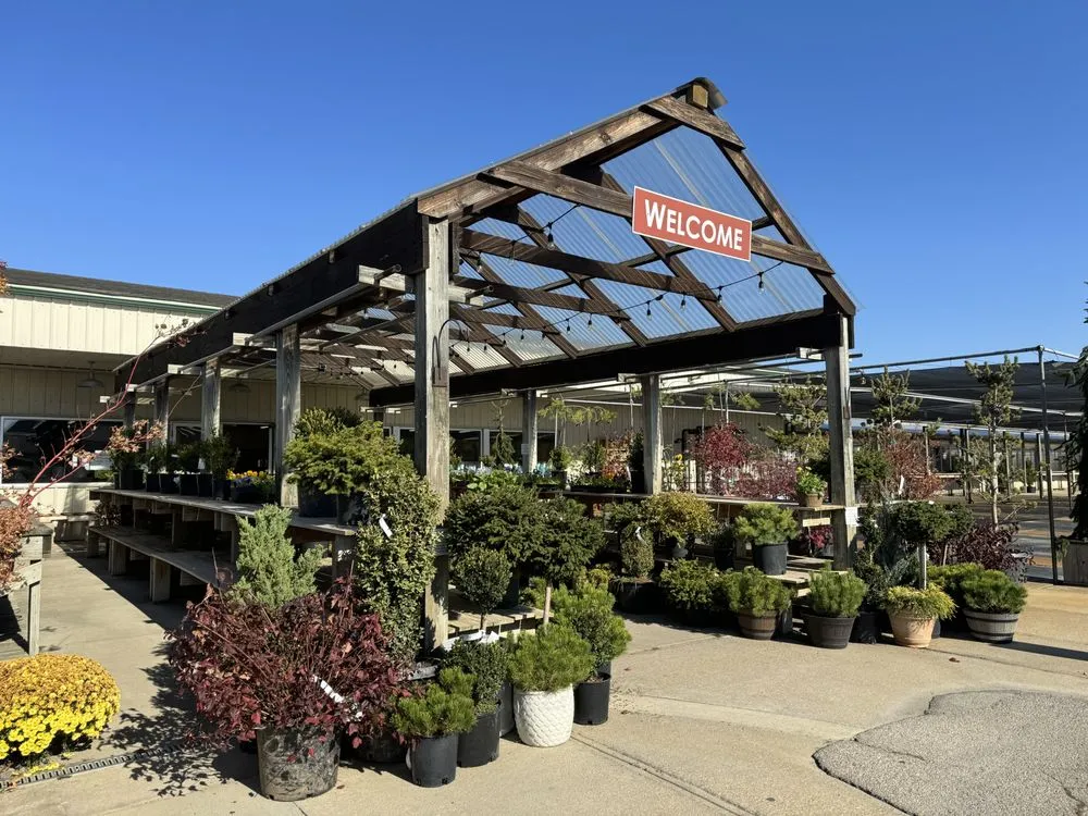 Local lawn care service in Indianapolis, IN - Dammann's Garden Company