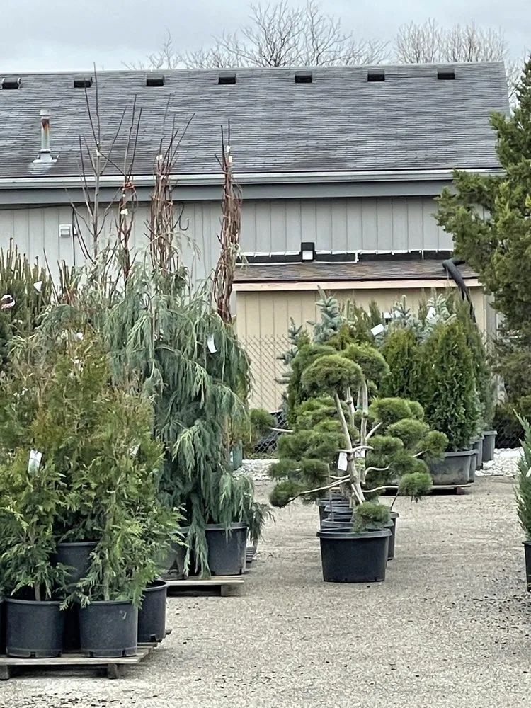 Top-rated yard maintenance in Indianapolis, IN by Dammann's Garden Company