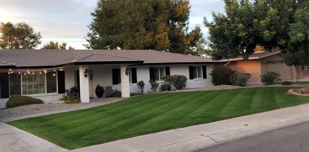 Top-rated landscaping services for homes across Glendale, AZ - Damone Landscaping