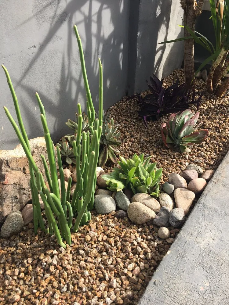 Expert landscape installation in Glendale, AZ - Damone Landscaping