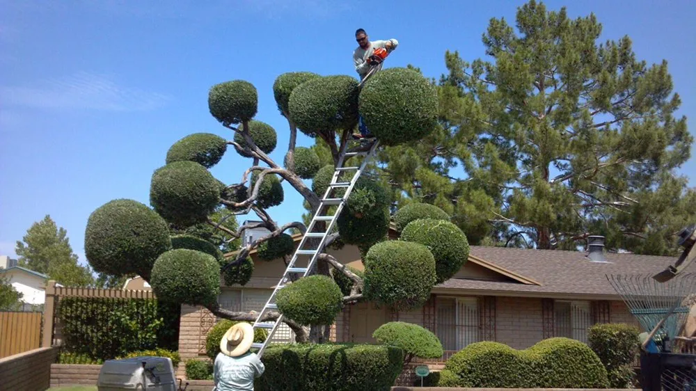 Top-rated landscape design for homes in Glendale, AZ by Damone Landscaping