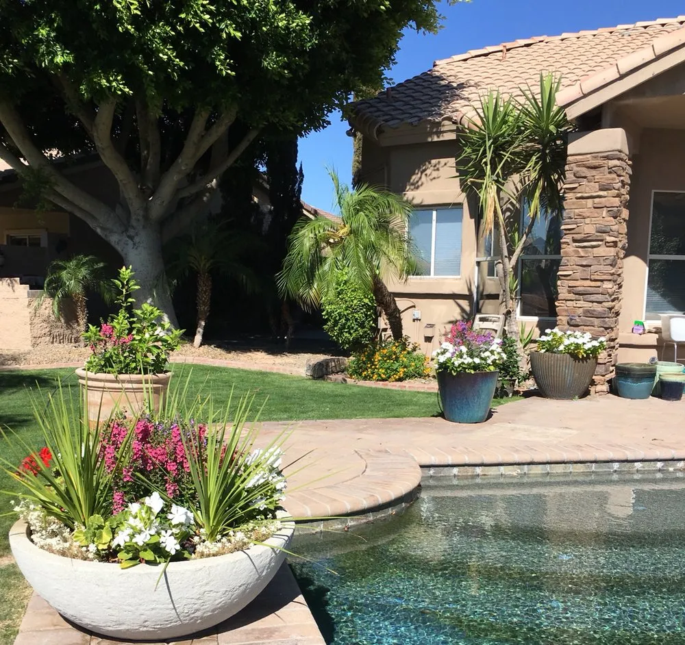 Top-rated landscape design in Glendale, AZ - Damone Landscaping