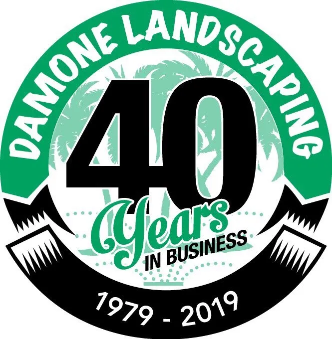 Local lawn care service experts serving Glendale, AZ - Damone Landscaping